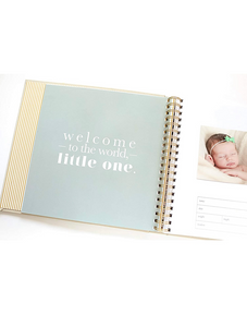 The Baby Memory Book